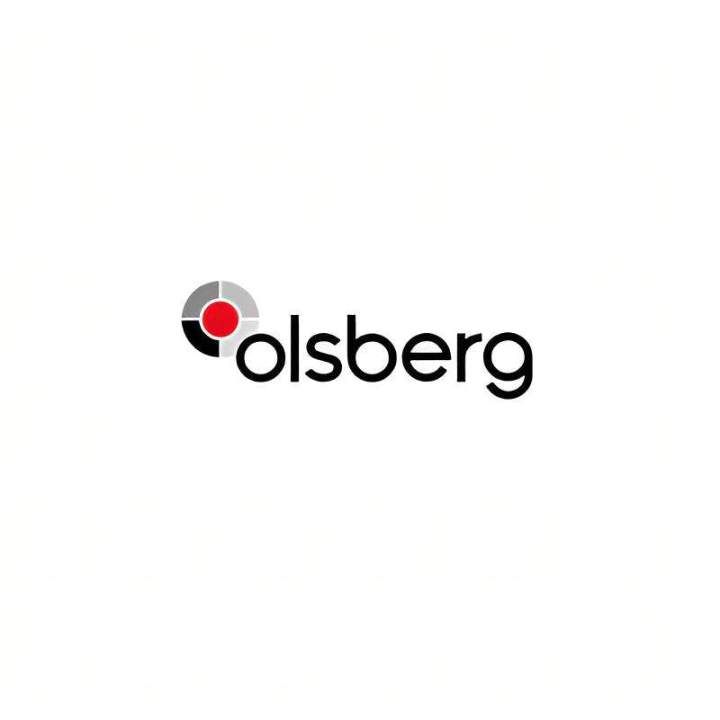 Logo Obserg